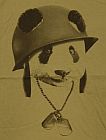 choko-panda